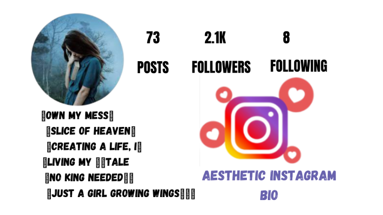 Best 650+ Aesthetic Instagram Bio | Cool, Stylish, Attitude