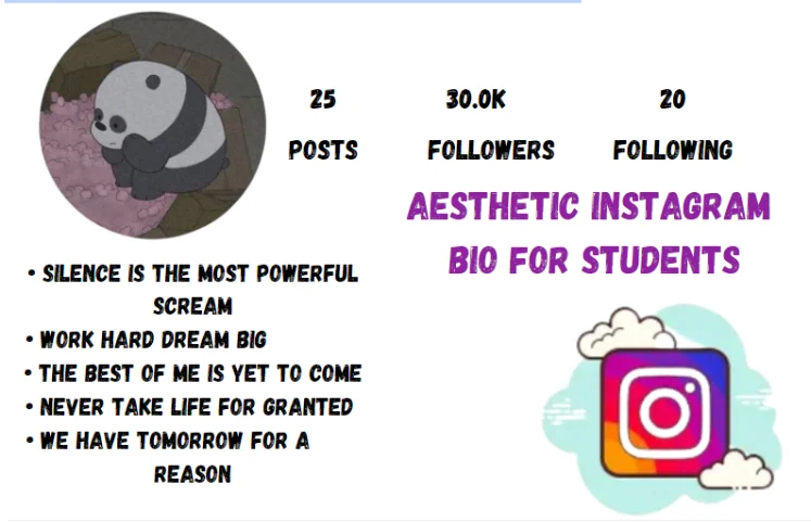 Aesthetic Instagram Bio For Students