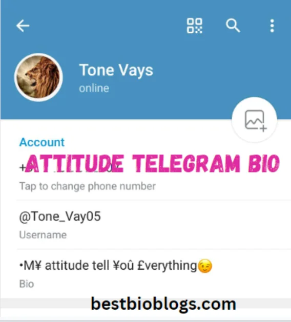 Attitude Bio For Telegram