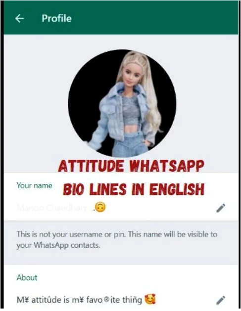Attitude WhatsApp Bio lines In English