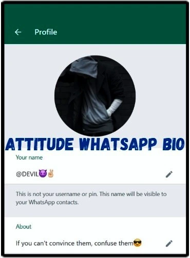 Attitude-Whatsapp-Bio