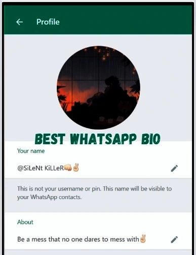 Best-Whatsapp-Bio