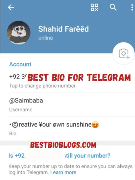 Best 300+ Bio For Telegram | Telegram Bio For Boys & Girls