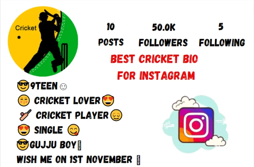 Best cricket bio for Instagram