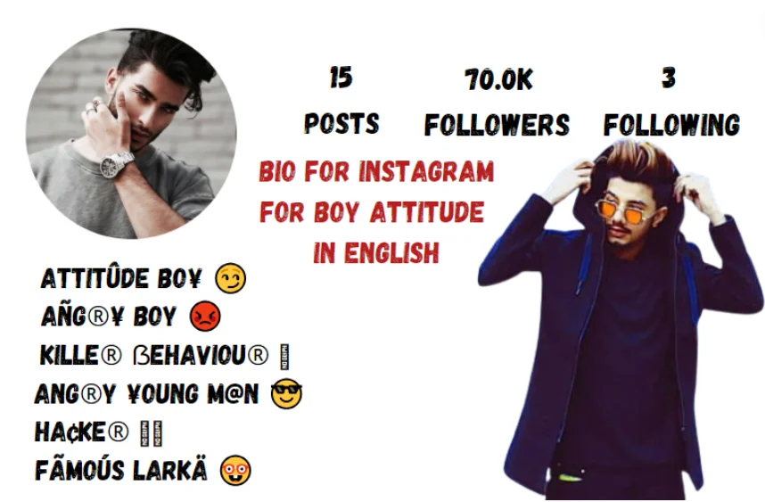 Bio For Instagram For Boy Attitude In English