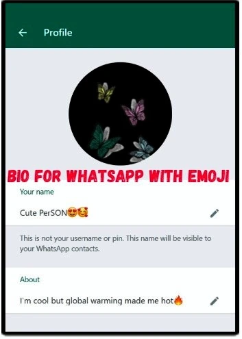 Bio-or-Whatsapp-With-Emoji