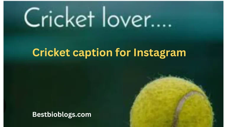 Best 600+ Best cricket bio for Instagram | Cricket lover quotes
