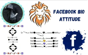 Facebook Bio Attitude