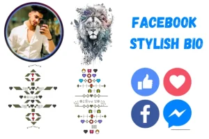 Facebook-Stylish-Bio