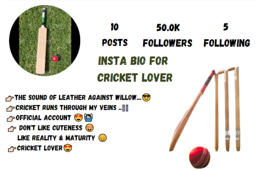 Instagram bio for cricket lover