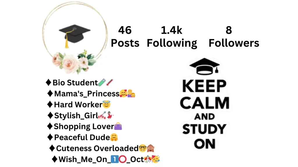 Instagram Bio For Students 1