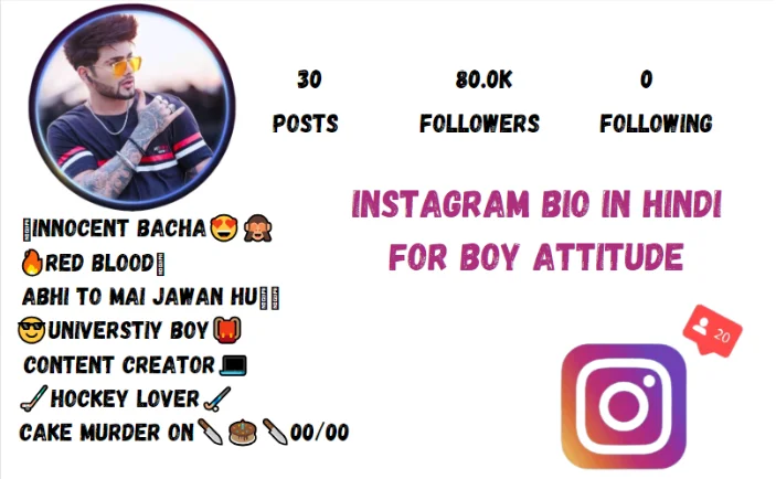Instagram Bio In Hindi For Boy Attitude
