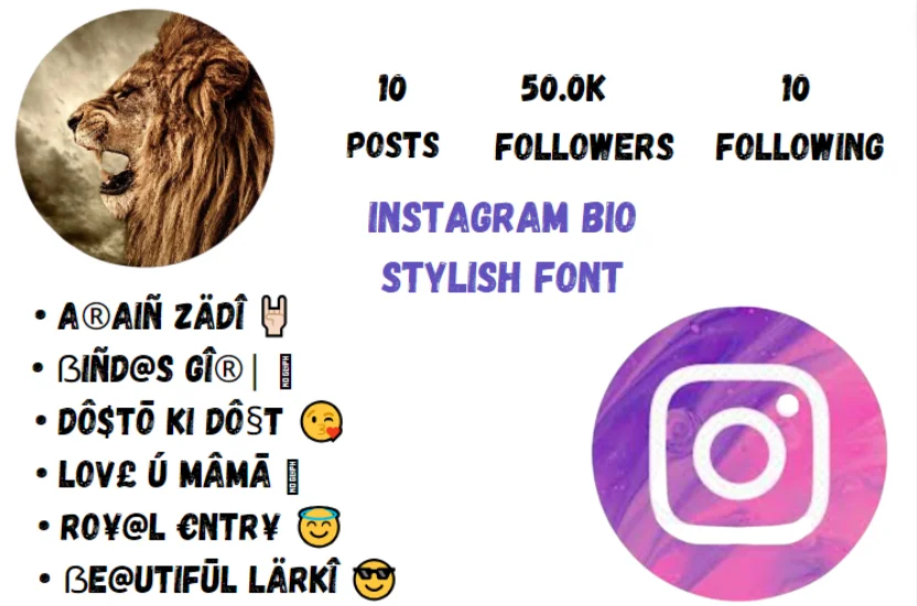 Instagram Bio Stylish Font