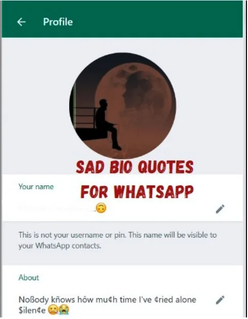 Sad Bio Quotes For WhatsApp