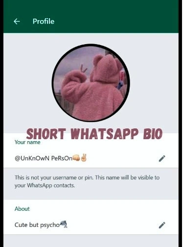 Short-Whatsapp-Bio