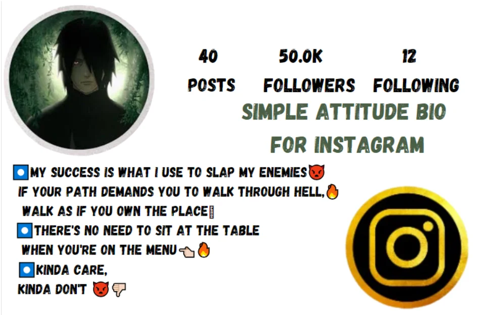 Simple attitude bio for Instagram
