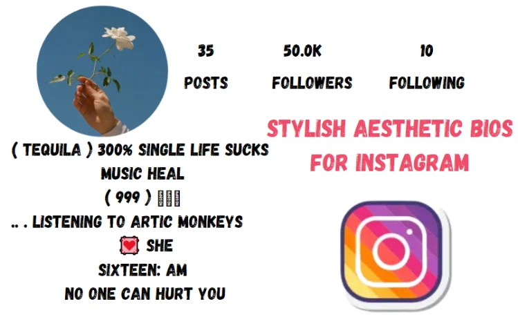 Stylish Aesthetic Bios For Instagram
