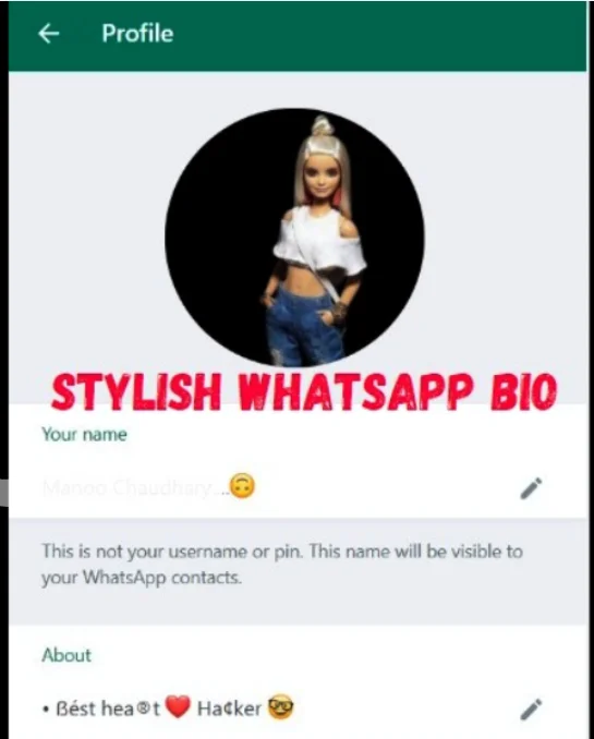 Stylish WhatsApp bio 1