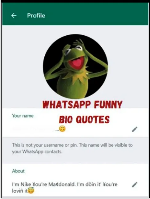 WhatsApp Funny Bio Quotes