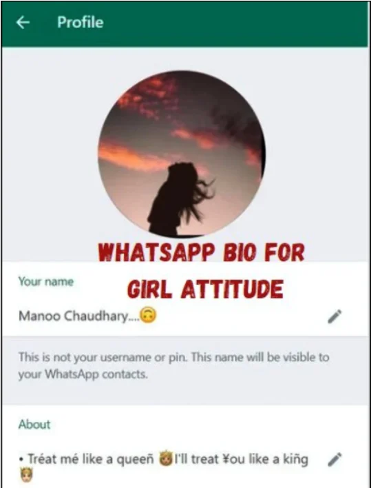 WhatsApp Bio For Girl Attitude