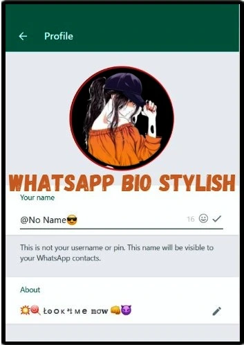 Whatsapp-Bio-stylish