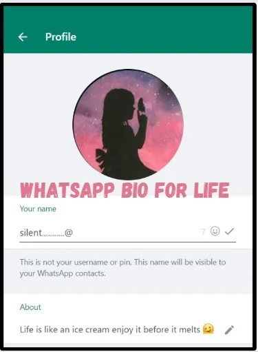 Whatsapp-Bio-for-Life