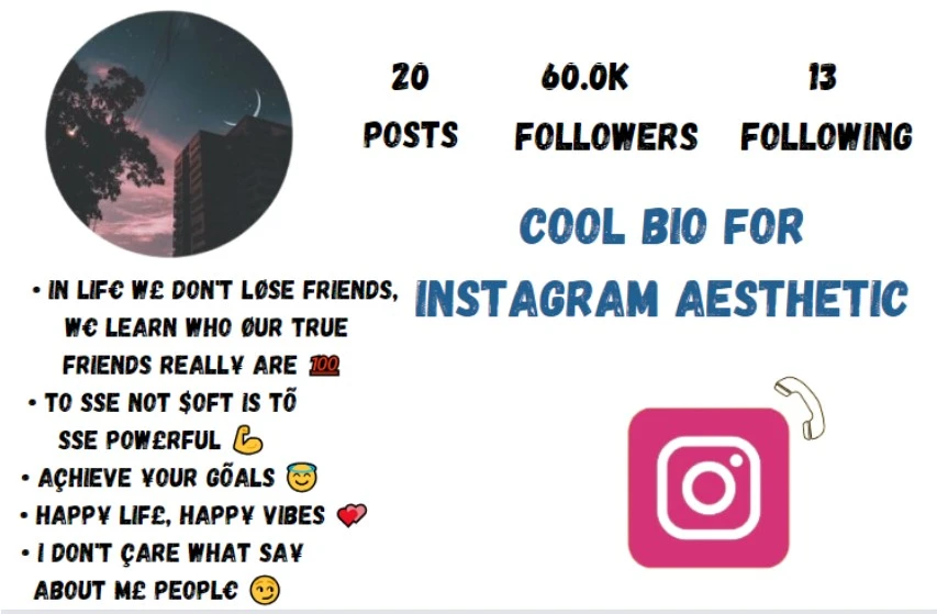 Cool Bio For Instagram Aesthetic