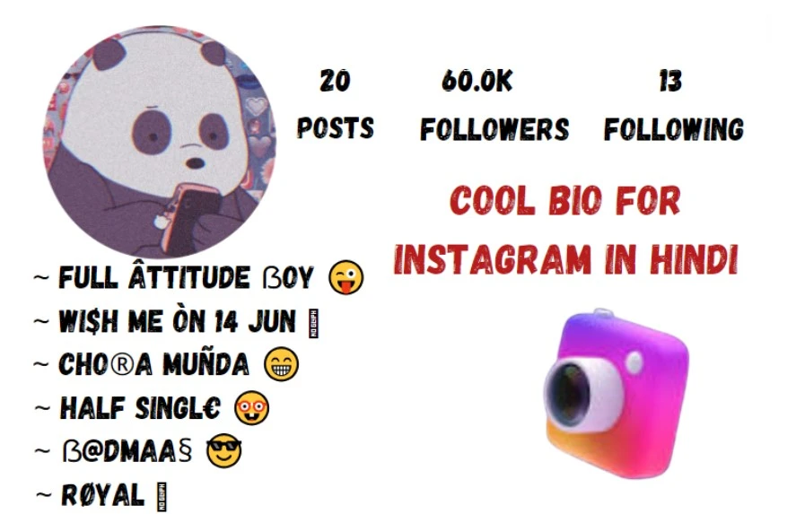 Cool Bio For Instagram In Hindi